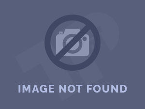 最全的视频观看软件丝瓜最新app破解版（最新发布)